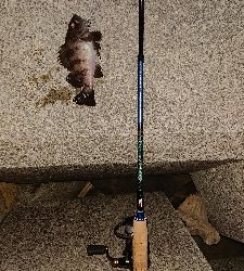 メバリングからガシリング