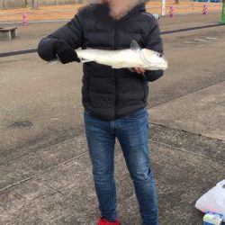 鳴尾浜臨海公園海づり広場  釣り情報