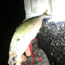 フロートアジング～