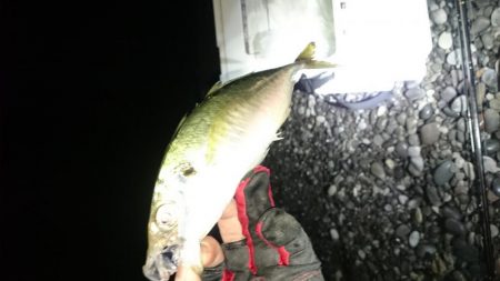 フロートアジング～