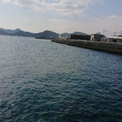 牛深エリア釣行