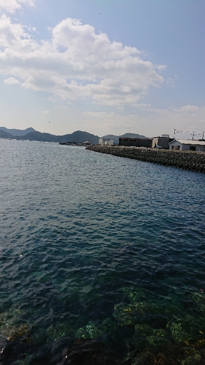 牛深エリア釣行