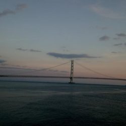 全体的に小さい