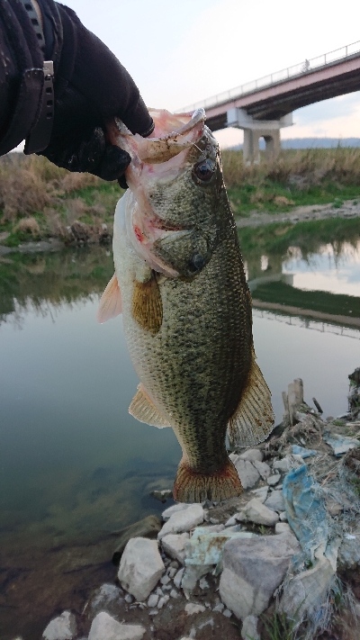 2019初フィッシュ！