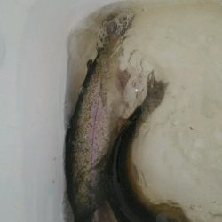 朝霞ガーデン　スティックルアー