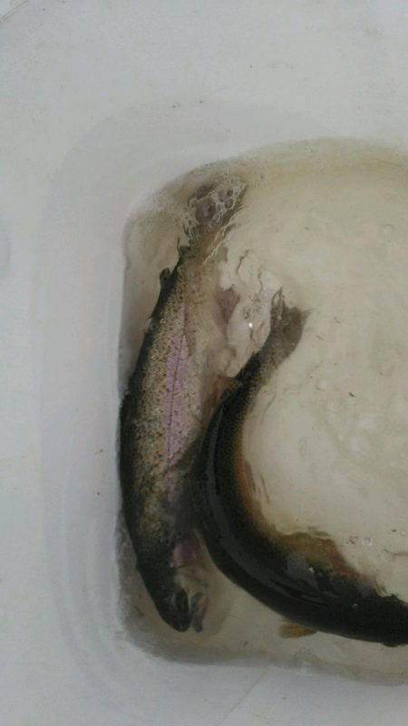 朝霞ガーデン　スティックルアー