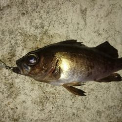 いつもの場所で