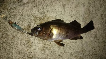 いつもの場所で