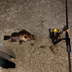 気になるポイントで…