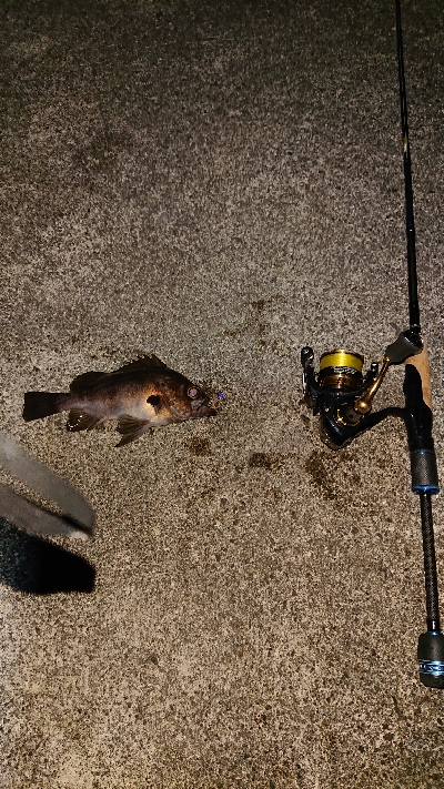 気になるポイントで…