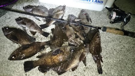 フロートメバル