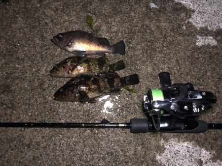 二見メバリング2