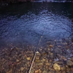 雪が舞う極寒芥川トラウトフィッシング