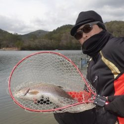 フィッシングレイクたかみや 釣果