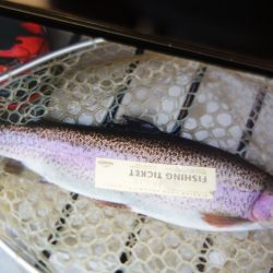 フィッシングレイクたかみや 釣果