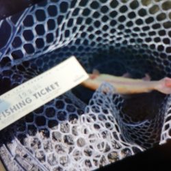 フィッシングレイクたかみや 釣果