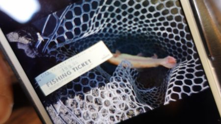 フィッシングレイクたかみや 釣果