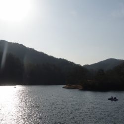 フィッシングレイクたかみや 釣果