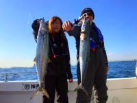 オーシャンマスター 釣果