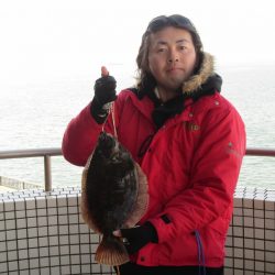 オリジナルメーカー海づり公園(市原市海づり施設) 釣果