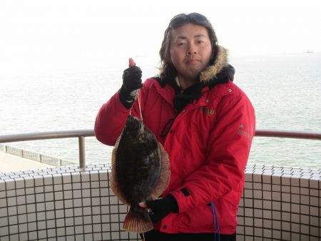 オリジナルメーカー海づり公園(市原市海づり施設) 釣果