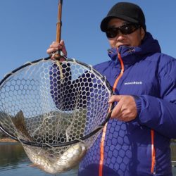 フィッシングレイクたかみや 釣果