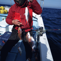 清和丸 釣果