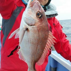 新幸丸 釣果