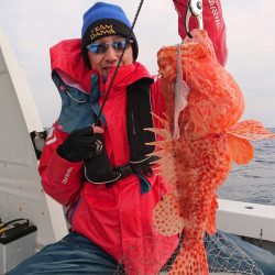 エンペラー 釣果