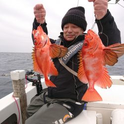 エンペラー 釣果