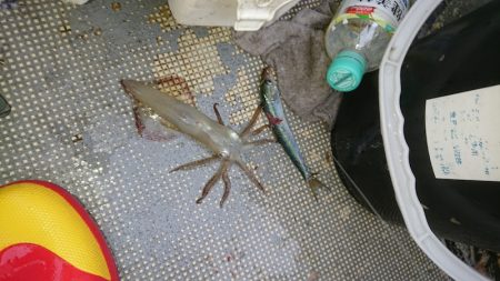 FISHING RISKY 釣果