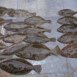 FISHING RISKY 釣果