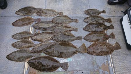 FISHING RISKY 釣果