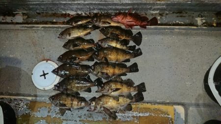 FISHING RISKY 釣果