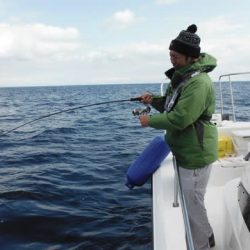 開進丸 釣果