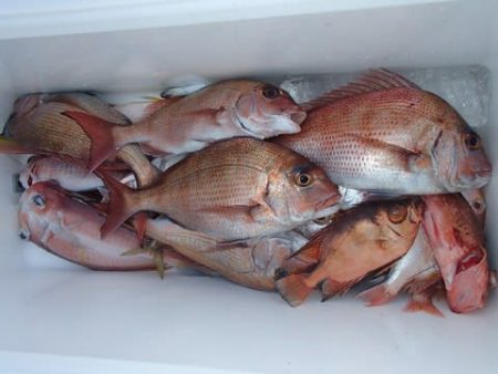 第二むつ漁丸 釣果