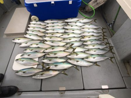 sea boss シーボス 釣果