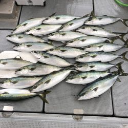 sea boss　シーボス 釣果