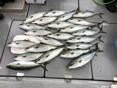 sea boss　シーボス 釣果