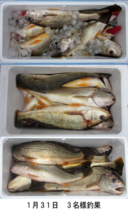 来温丸（らいおんまる） 釣果