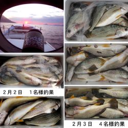 来温丸（らいおんまる） 釣果
