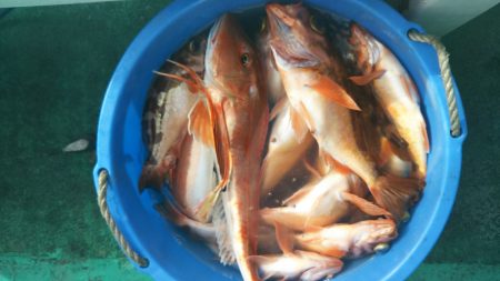 モンロー号 釣果