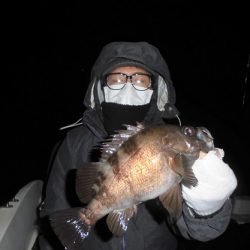 ルアー船マヒマヒ 釣果