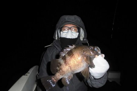 ルアー船マヒマヒ 釣果