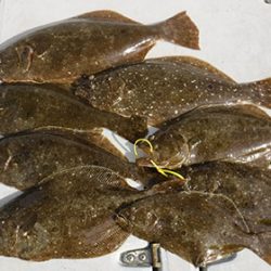 松本釣船２ 釣果