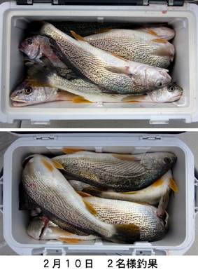 来温丸（らいおんまる） 釣果