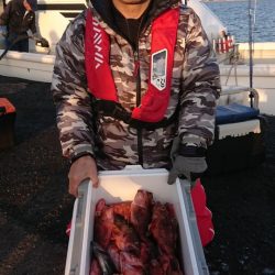 オーフリー 釣果