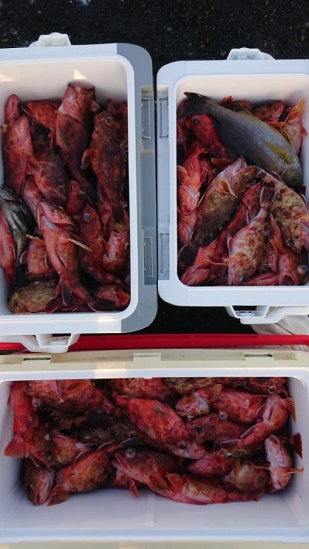 オーフリー 釣果