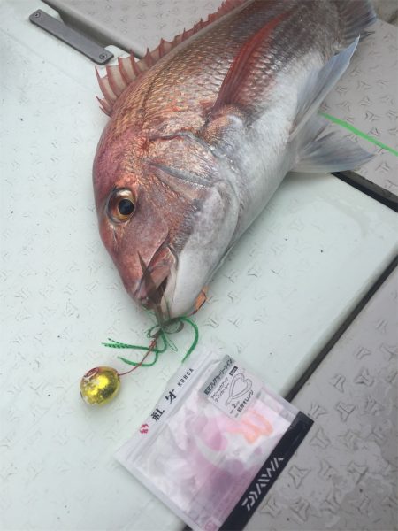 マタウマリンサービス 釣果