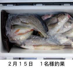来温丸(らいおんまる) 釣果